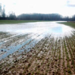 La lluvia frena las decisiones