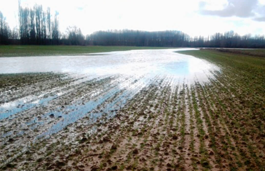 La lluvia frena las decisiones
