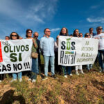 SOS Rural y E&L llevan a los tribunales a la Junta andaluza y al Ayuntamiento de Lopera por el macroproyecto fotovoltaico que supone la tala de olivos