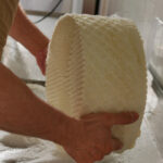 Andalucía abre las inscripciones del curso Maestro Quesero 4.0 para la elaboración de quesos y la creación de empresas lácteas