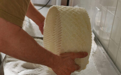 Andalucía abre las inscripciones del curso Maestro Quesero 4.0 para la elaboración de quesos y la creación de empresas lácteas