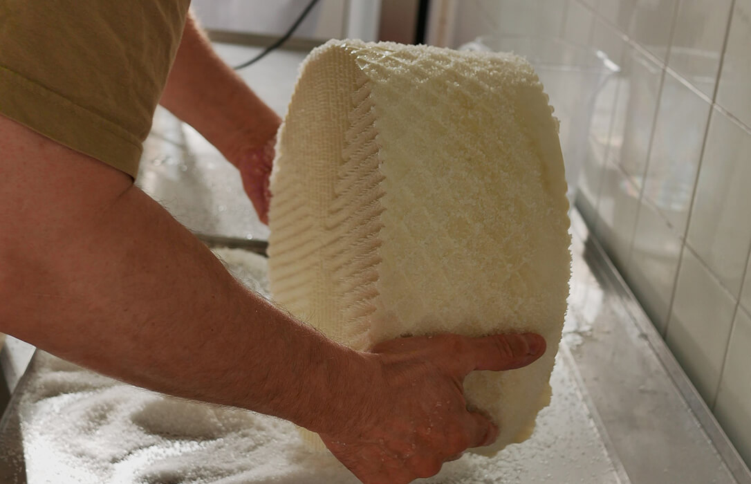 Andalucía abre las inscripciones del curso Maestro Quesero 4.0 para la elaboración de quesos y la creación de empresas lácteas