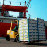 Denuncian que el presupuesto anual de la Comisión Europea para medidas fitosanitarias es de solo 8 millones de euros