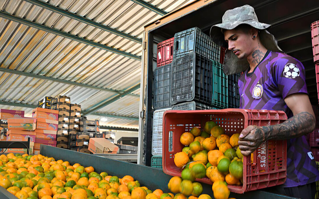 Piden a Bruselas aplicar a Mercosur un contingente anual de cítricos en fresco de 239.000 t. y 499.000 t. para industria y un arancel corrector del 15% si se rebasan
