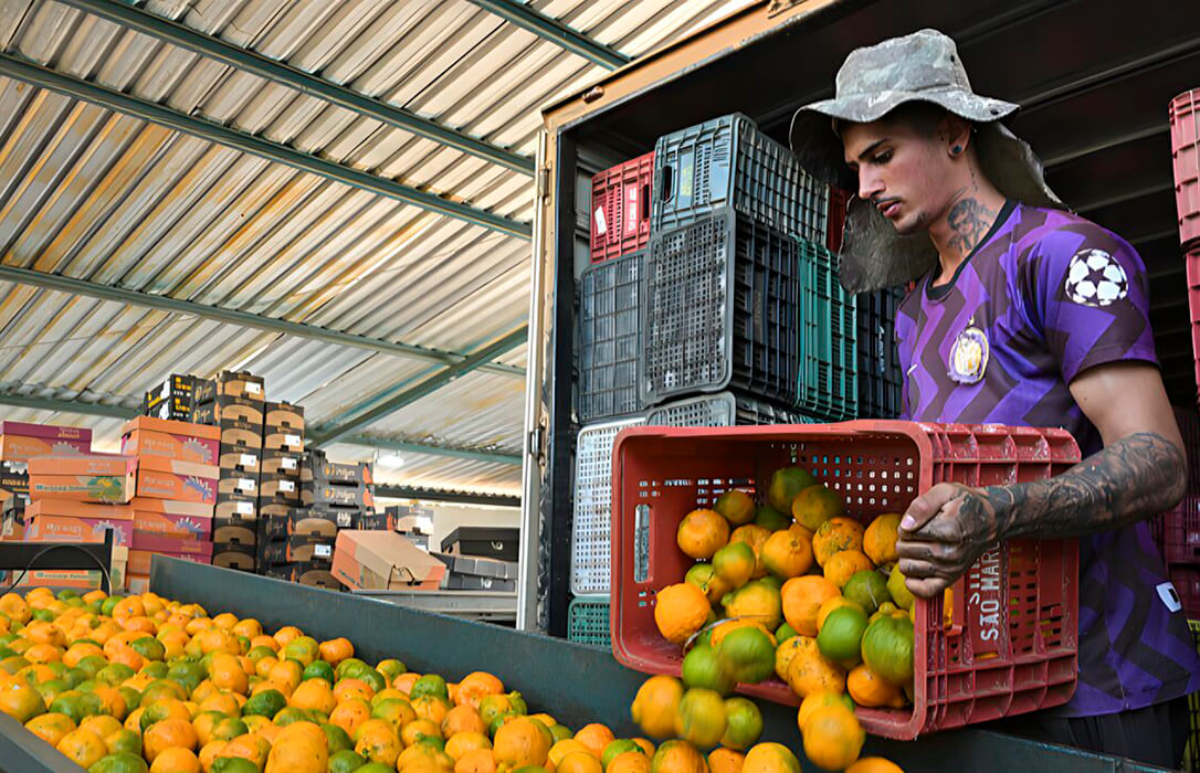Piden a Bruselas aplicar a Mercosur un contingente anual de cítricos en fresco de 239.000 t. y 499.000 t. para industria y un arancel corrector del 15% si se rebasan