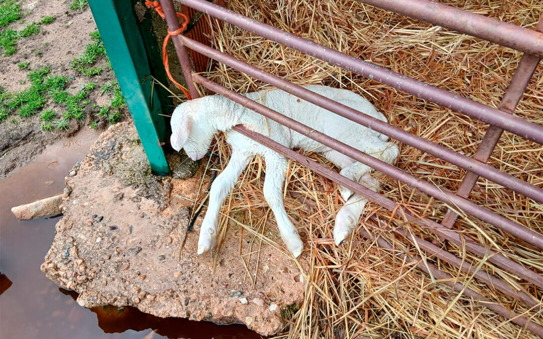 Ni agricultores de segunda ni regiones invisibles