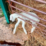 Ni agricultores de segunda ni regiones invisibles