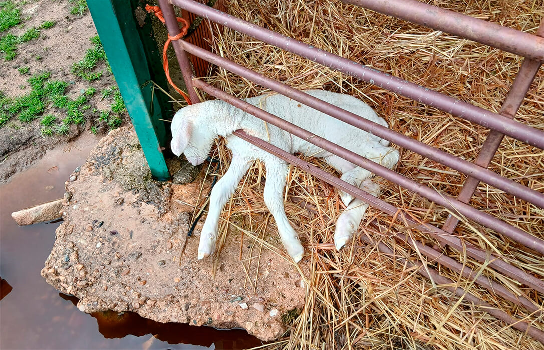 Ni agricultores de segunda ni regiones invisibles