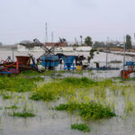 ¿Moderación en las promesas?: Planas dice que se busca «algún nivel de compensación» para los afectados por el temporal