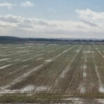 El sector reclama concreción: piden que se aclaren qué requisitos de la PAC se flexibilizarán por los fenómenos meteorológicos adversos