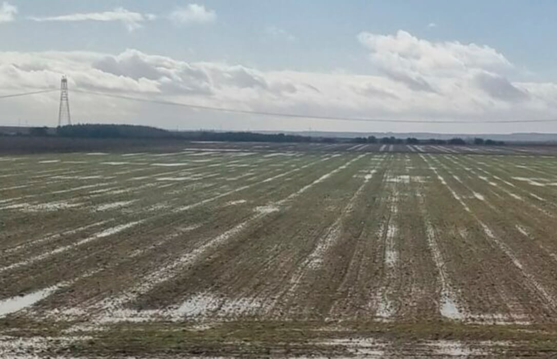 El sector reclama concreción: piden que se aclaren qué requisitos de la PAC se flexibilizarán por los fenómenos meteorológicos adversos