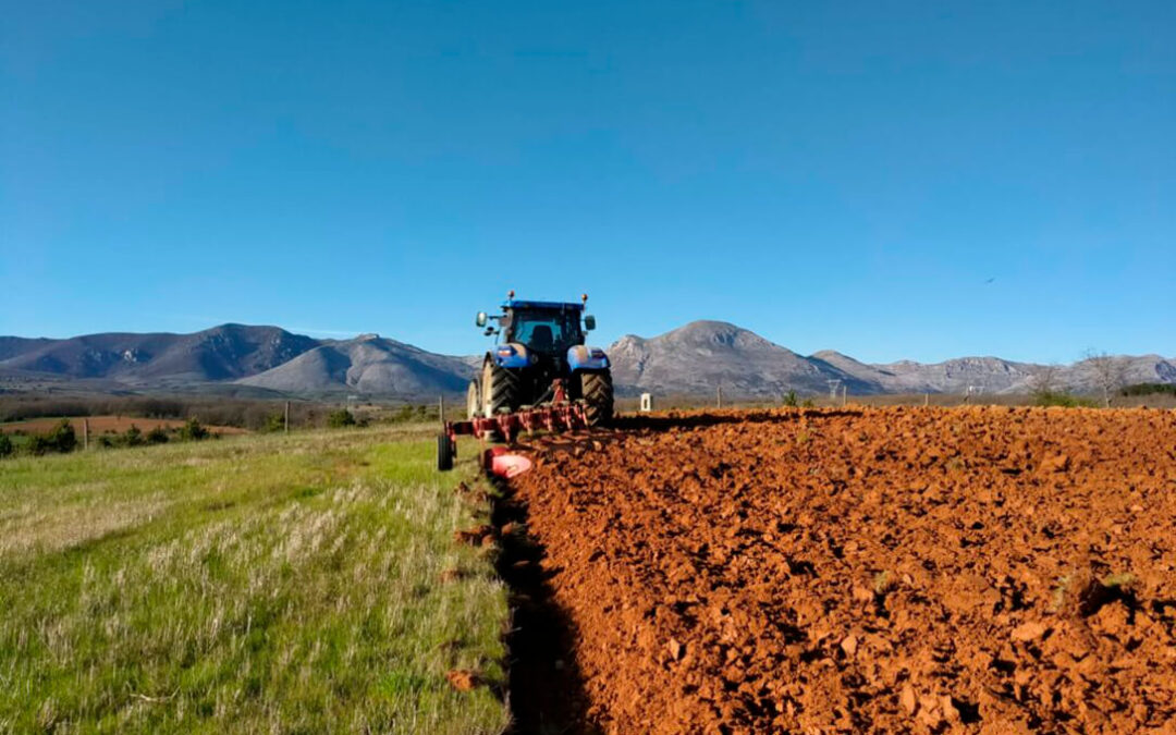 El campo europeo no cede y pide a los líderes de la UE que es la hora de «poner en el centro» de la agenda de competitividad a la agricultura