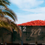 Los productores sevillanos se suman a la indignación e instan a las industrias a que paguen el tomate por encima de los costes de producción