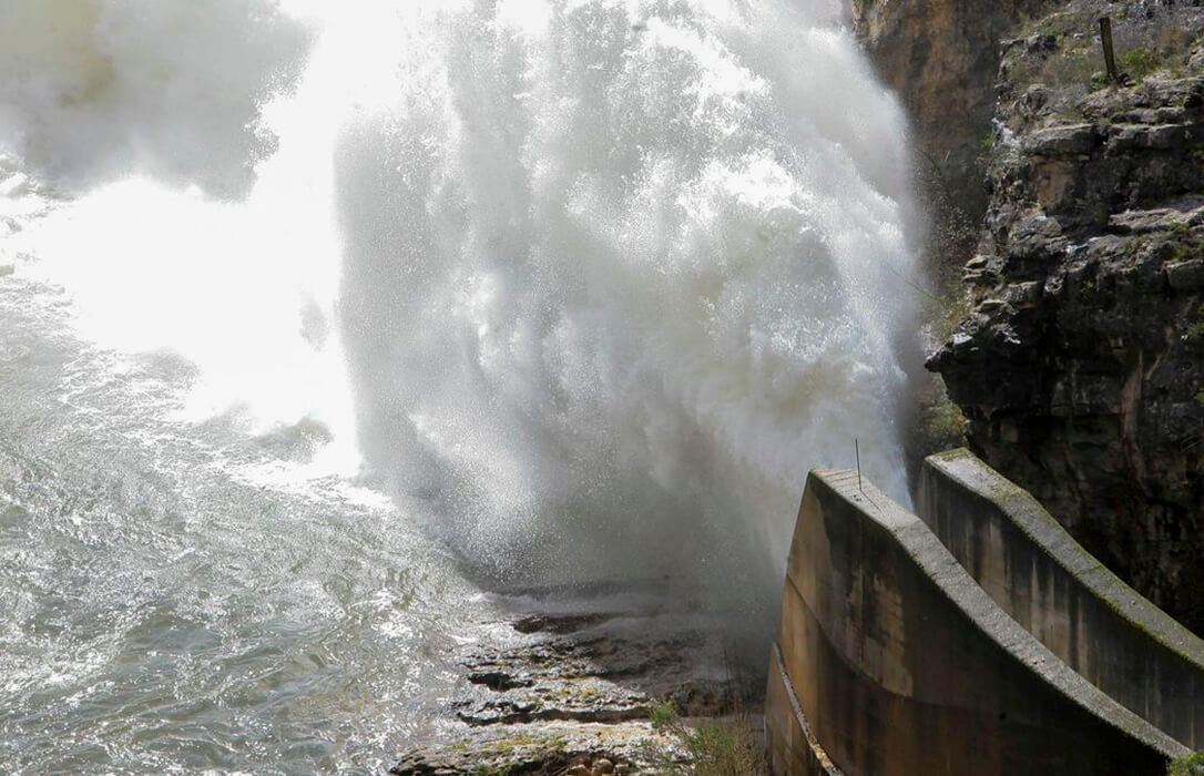Máxima preocupación ante los próximos desembalses en las vegas de Guadalajara, con el cultivo de maíz que está aún sin cosechar