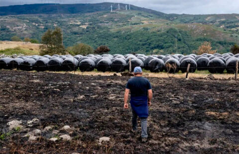 Preparado un recurso contencioso administrativo a los excluidos por la Junta de de CyL de las ayudas por los incendios forestales del verano