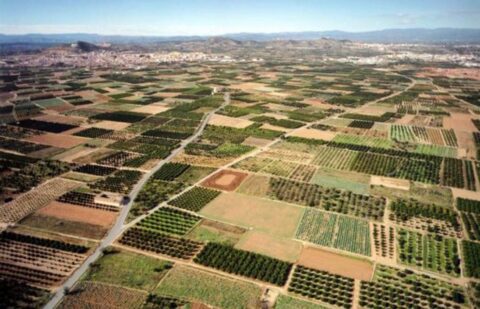 El Fega publica los municipios en los que, de forma excepcional, no se utilizarán las referencias SIGPAC para la identificación de las parcelas