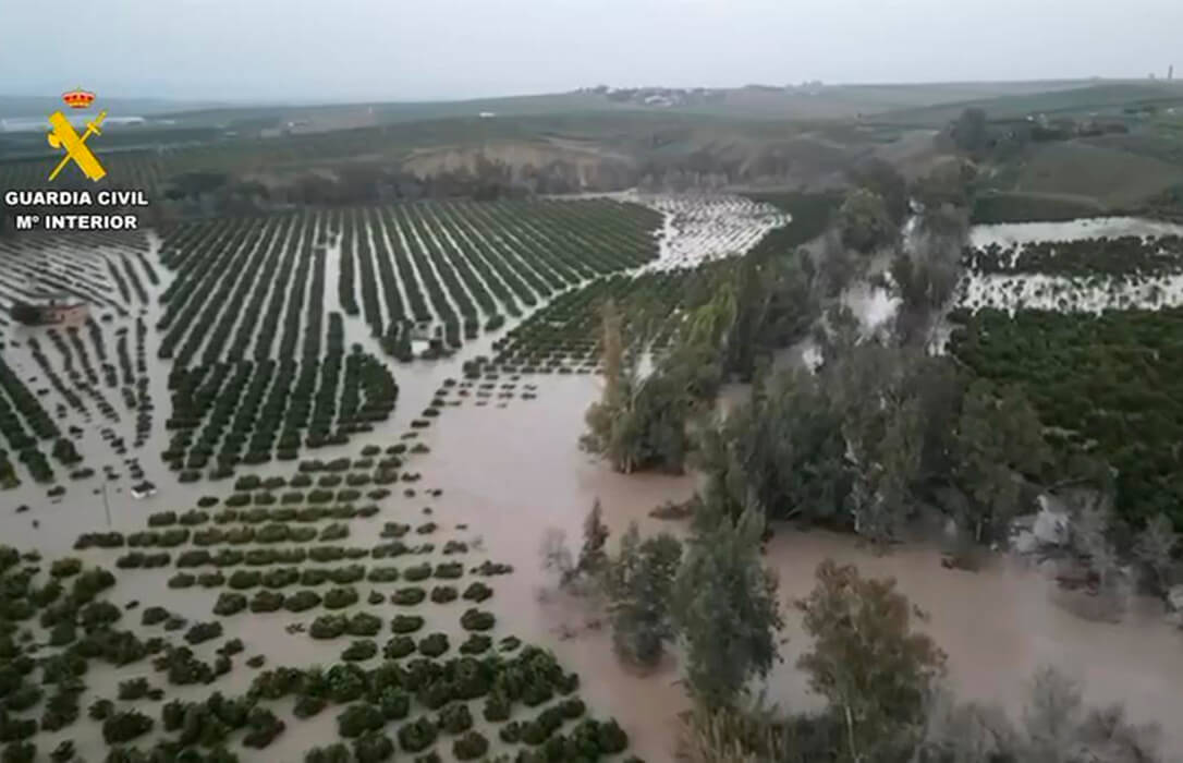 El Gobierno pide a la UE que movilice la reserva de crisis agrícola por las borrascas y prepara su plan de medidas para compensar a los afectados