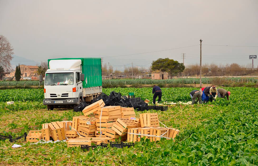 Ante la subida del SMI: recuerdan al Gobierno que el campo pagó en 2025 cerca de un 10% más de la media del salario mínimo interprofesional