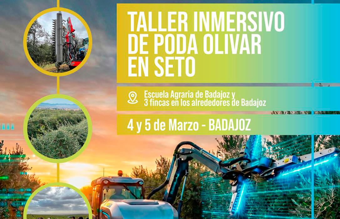 Un taller inmersivo destaca la importancia de una poda eficiente para mejorar la rentabilidad del olivar