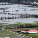 El temporal golpea al campo con la pérdida de animales y no solo a los cultivos agrícolas sino que pone en riesgo las nuevas campañas y el cobro de la PAC