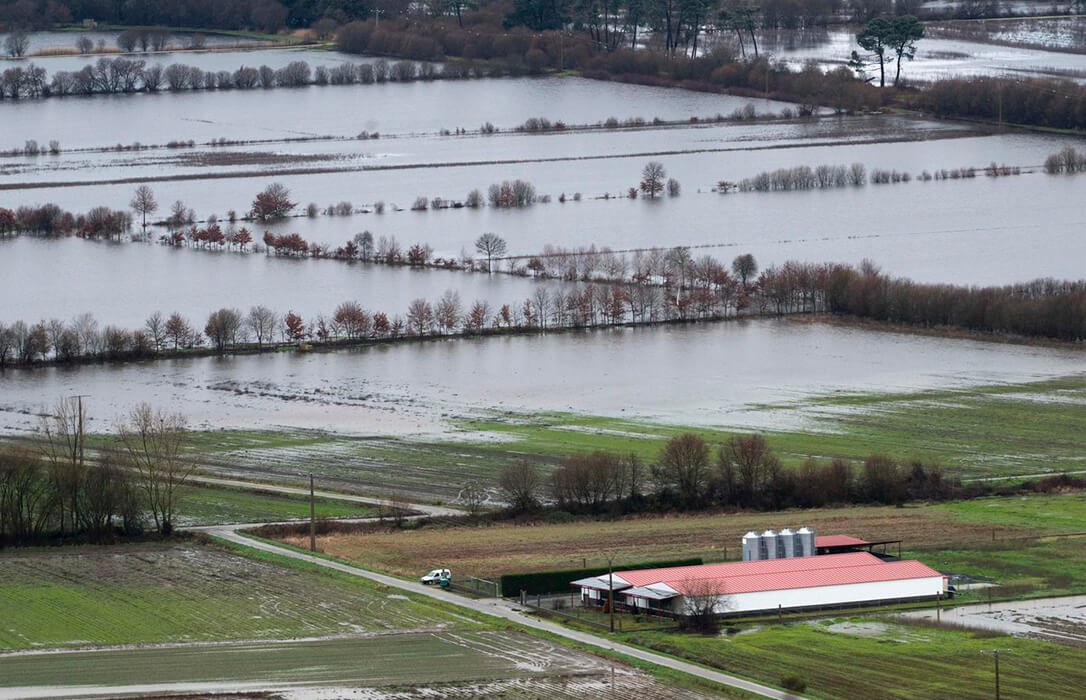 El temporal golpea al campo con la pérdida de animales y no solo a los cultivos agrícolas sino que pone en riesgo las nuevas campañas y el cobro de la PAC