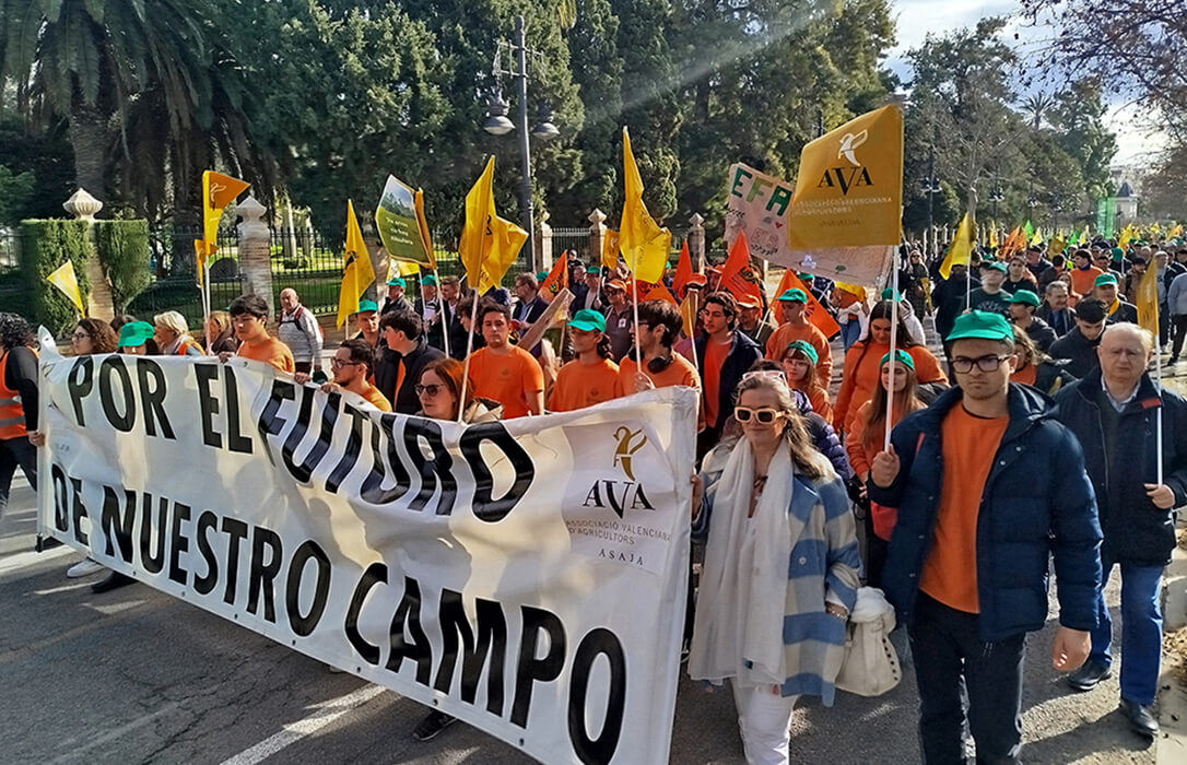 Reclaman coherencia al Consell valenciano en su rechazo al acuerdo de Mercosur: no se puede acordar unidad de acción y que el PP valenciano vote en contra