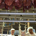 El Consell Valenciano de Colegios Veterinarios denuncia que no hay suficientes plazas de inspectores veterinarios de matadero