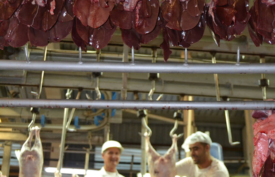 El Consell Valenciano de Colegios Veterinarios denuncia que no hay suficientes plazas de inspectores veterinarios de matadero