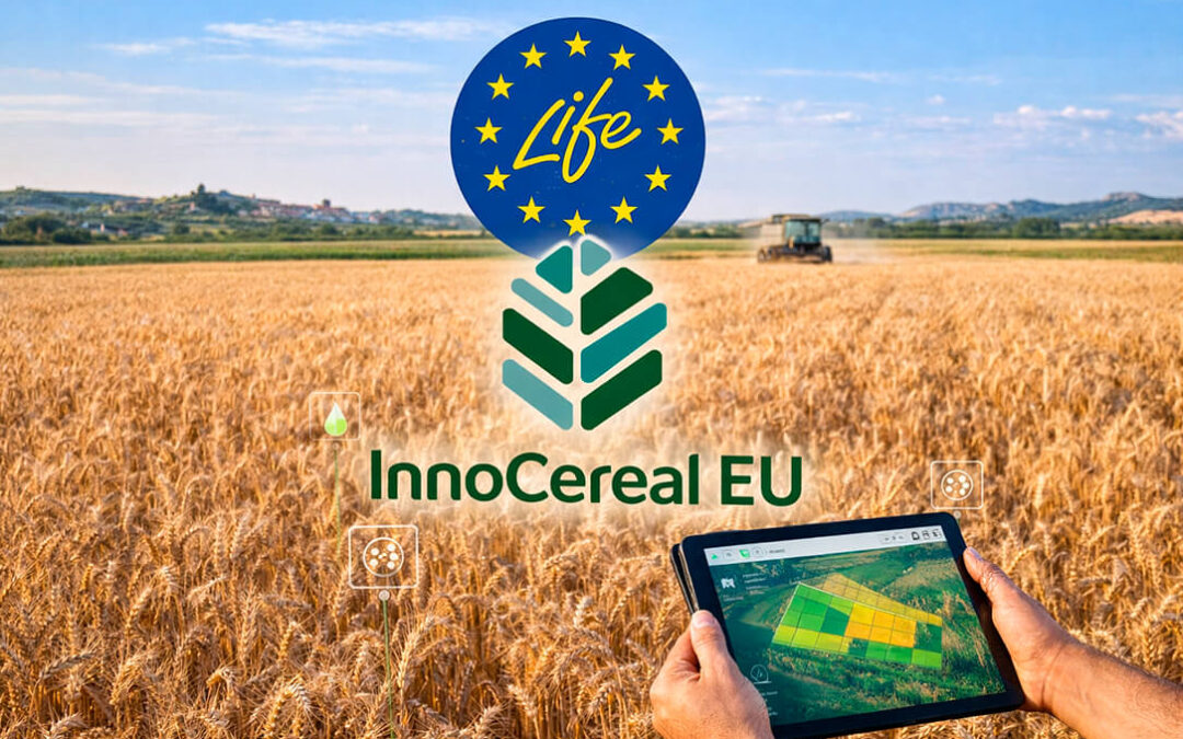 LIFE Innocereal EU consolida su modelo de cereal bajo en carbono y se prepara para dar el salto e iniciar su expansión a Europa