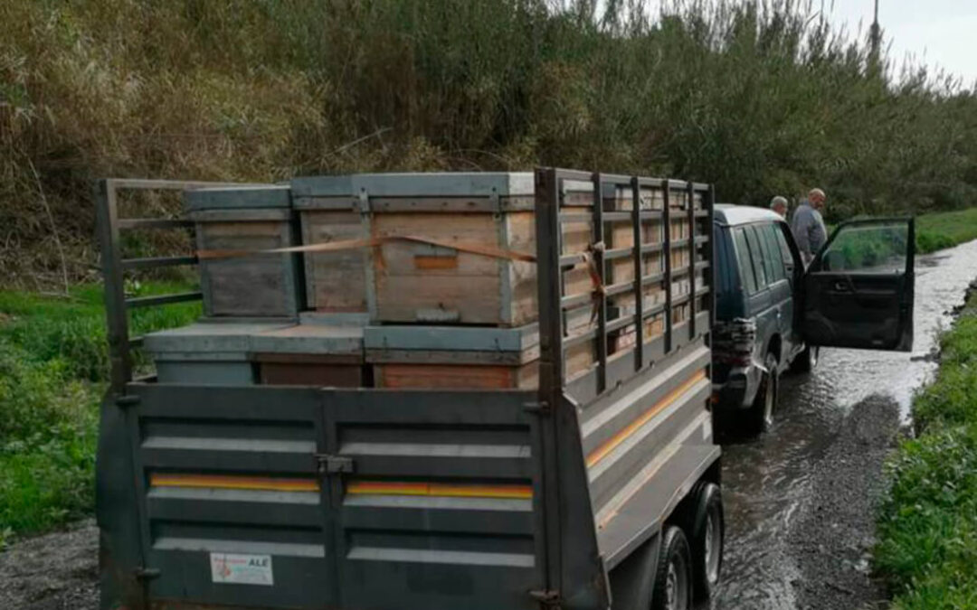 El sector apícola alerta del impacto del encarecimiento del carburante en plena campaña y denuncia el olvido de las administraciones en las ayudas