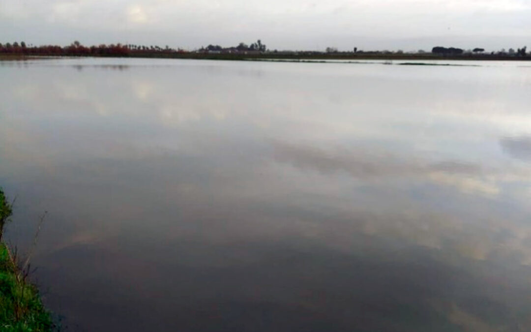 Proponen la exención del canon de uso de agua de riego para las comunidades de regantes del Bajo Guadalquivir tras el impacto de las borrascas