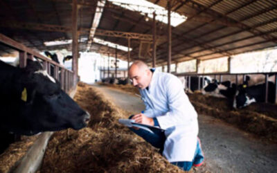 El impulso de la veterinaria española lleva a la Comisión Europea a revisar sus normas sobre medicamentos animales