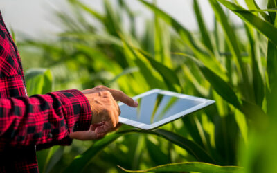 La digitalización reinventa la agricultura: IA, IoT, BIM o GIS impulsan la innovación al servicio del medio ambiente