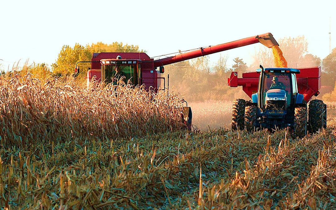 La tensión en Oriente Medio impulsa la volatilidad de los cereales mientras el mercado nacional permanece en espera