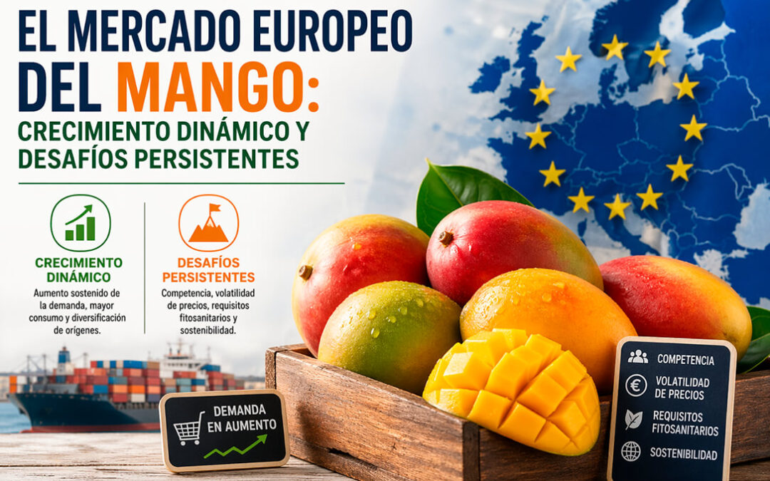 El mercado europeo del mango: crecimiento dinámico y desafíos en una industria enfrentada a retos estructurales, logísticos y operativos