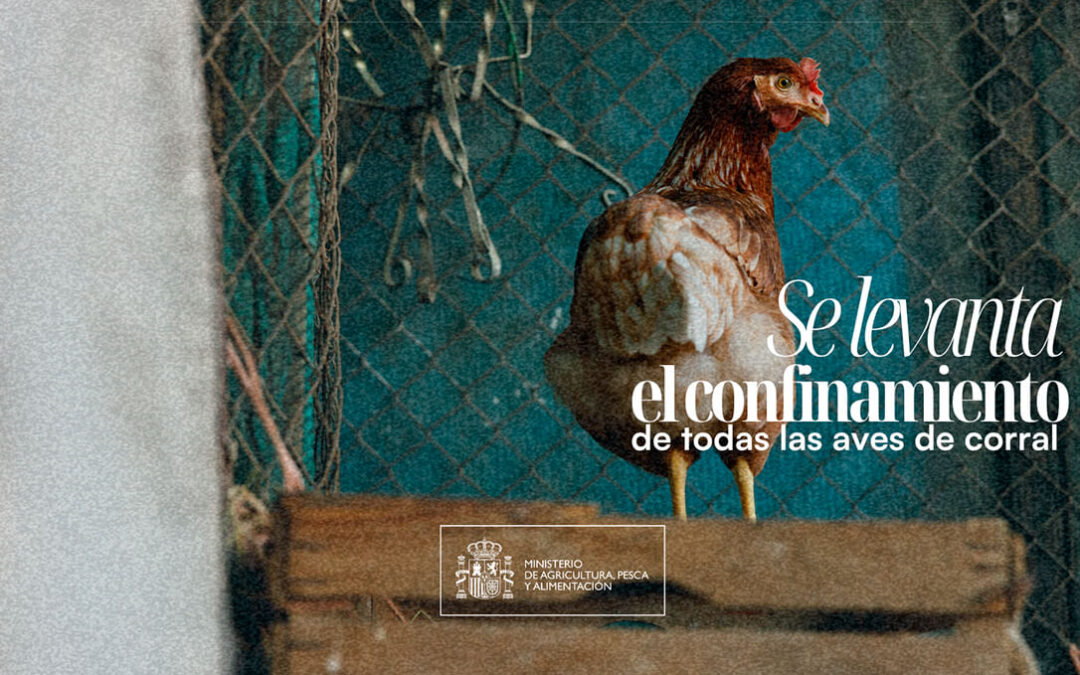 El Ministerio de Agricultura levanta el confinamiento de las aves de corral al mejorar la situación de riesgo de la influenza aviar