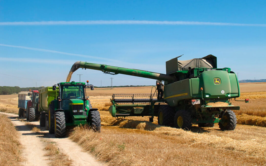 Tensa calma, con una leve bajada del trigo, en el sector de los cereales: la frágil tregua en la guerra de Irán ya no cotiza