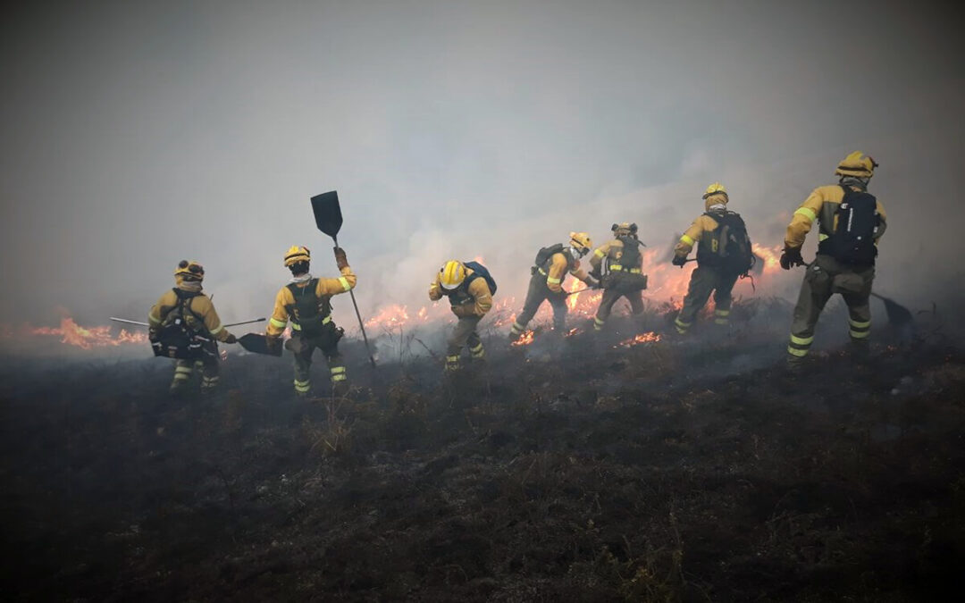 La campaña estatal contra incendios forestales se adelanta de nuevo al 1 de junio para garantizar la plena operatividad de todos medios