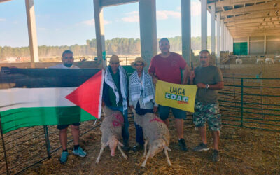Solidaridad y conciencia rural: UAGA-CPAG dona dos corderos a la Casa Palestina con motivo de la Fiesta del Cordero
