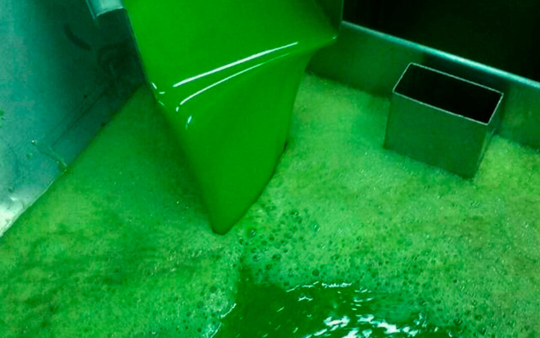 ¿Especulación en el virgen extra?: Los fundamentos del mercado no justifican la caída del precio del aceite de oliva en origen
