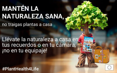 PlantHealth4Life: una campaña para fomentar medidas sencillas para proteger las plantas, la sanidad vegetal y evitar la llegada de plagas
