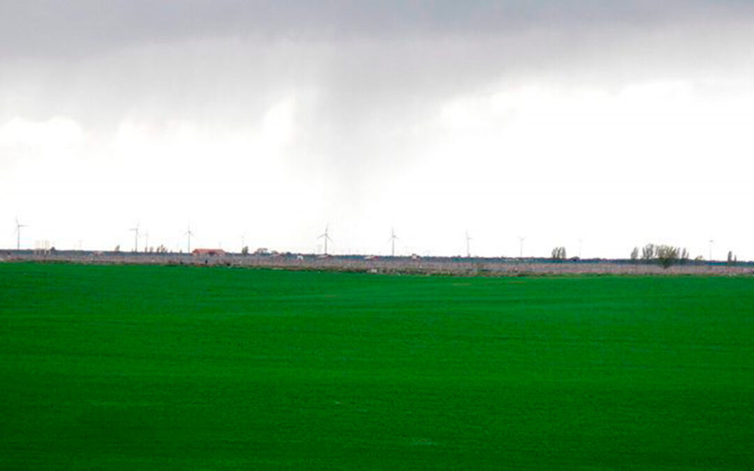 Las lluvias dan un respiro al campo a la vez que tranquilidad y mejoran las expectativas de la nueva cosecha de cereal