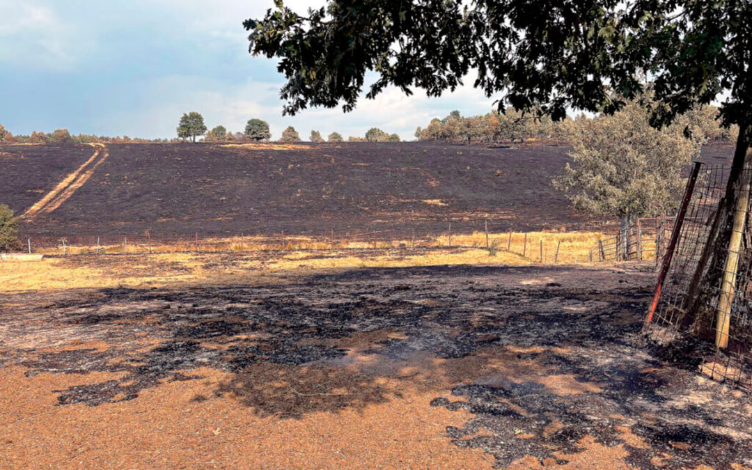 La Junta de CyL declara época de peligro medio de incendios forestales por las altas temperaturas y prohíbe de momento todas las quemas