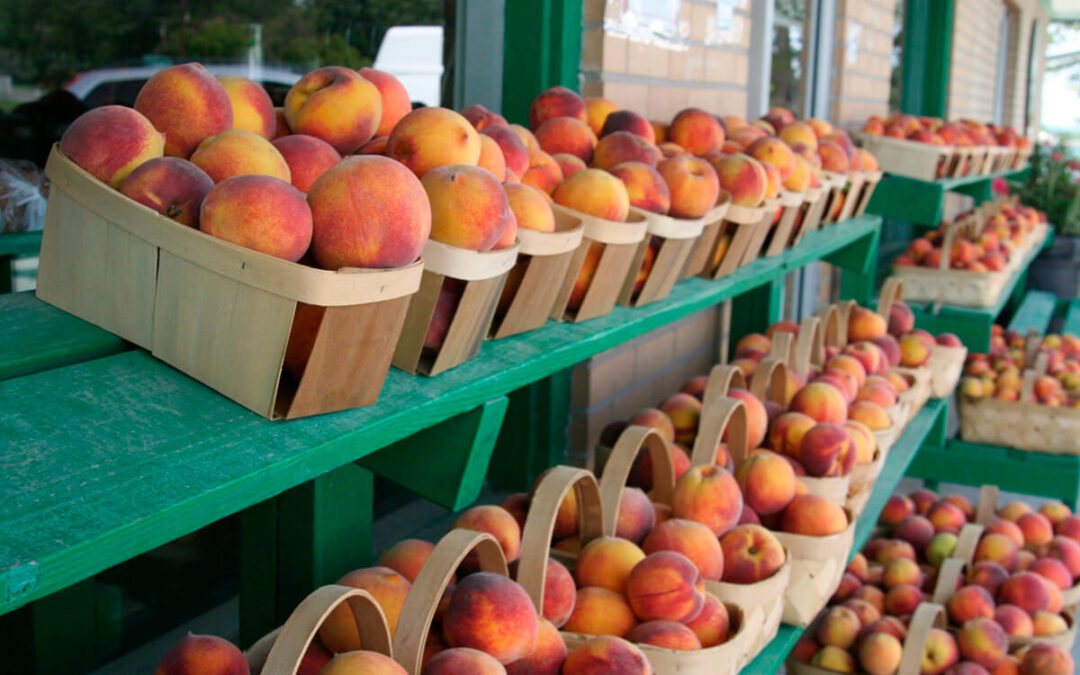 Más problemas para la fruta: alertan de la presión del comercio exterior sobre el mercado pese al aumento de producción