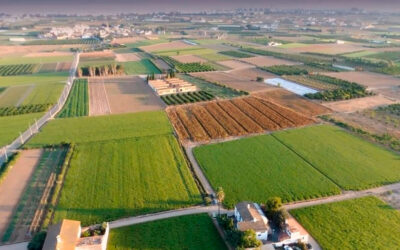El sector ecológico de la Comunitat Valenciana facturó en 2025 casi mil millones de euros, un récord histórico con un 15% más que el pasado año