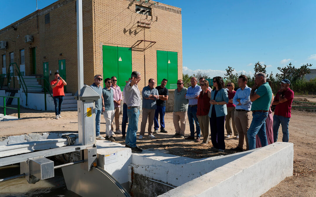 Más de 1.200 arroceros del Guadalquivir se beneficiarán de la digitalización del regadío gracias a los proyectos PERTE