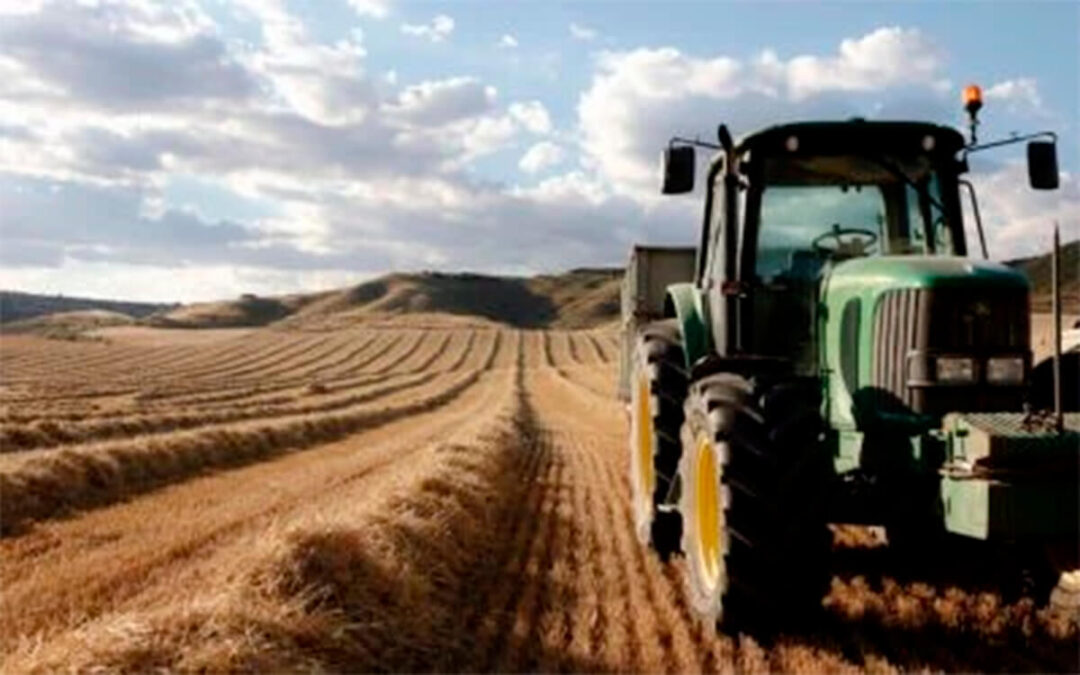 El cereal, ante el abismo: las previsiones auguran una campaña de ruina donde los productores «no solo no ganarán dinero, sino que lo perderán»