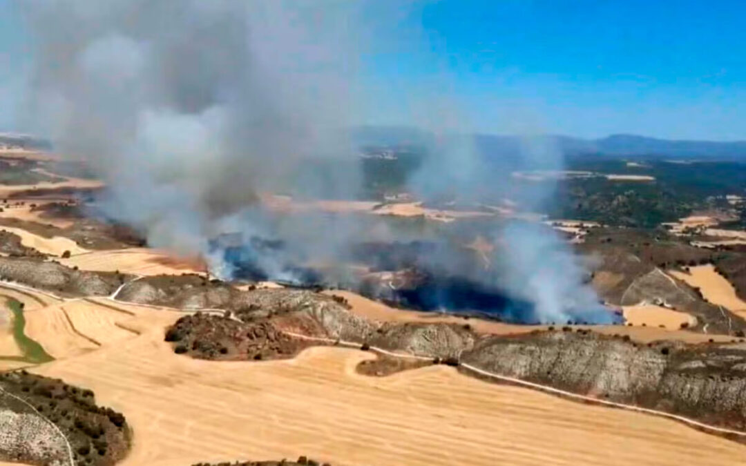 Enfado y rechazo de las organizaciones agrarias de Aragón por la prohibición generalizada de la cosecha por la activación de la alerta rojo plus