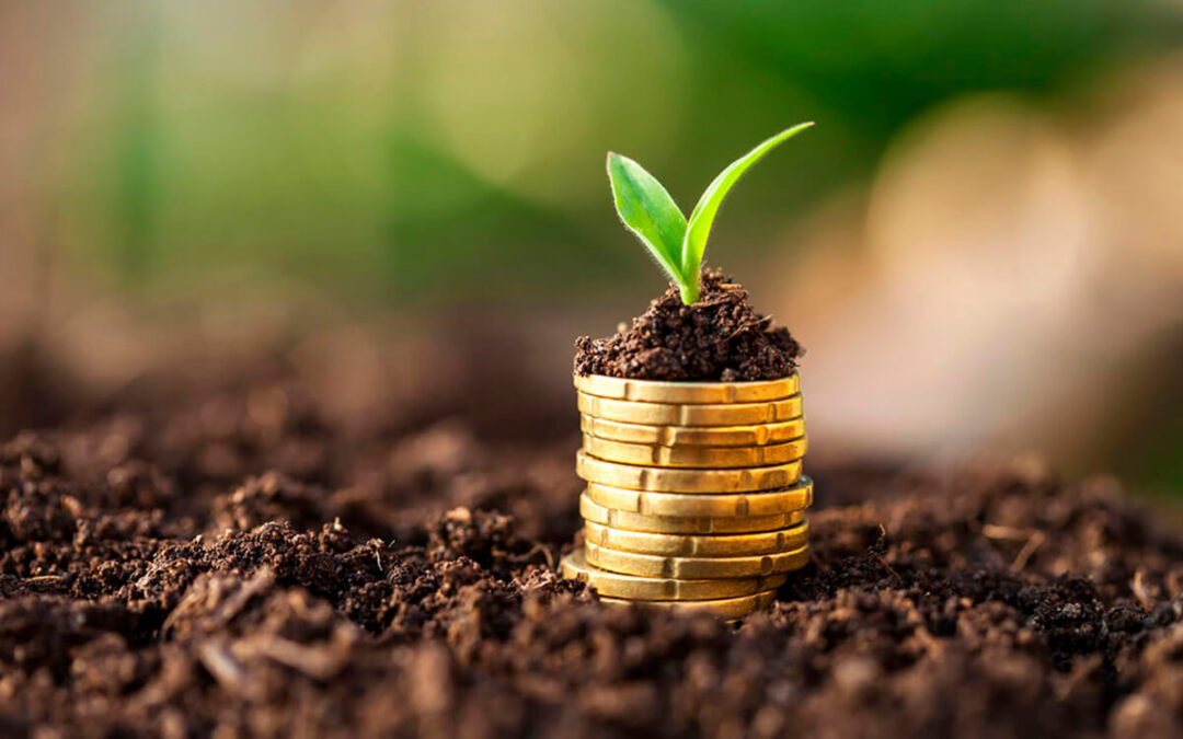 ¿Quién monetizará la verdad en el sector agrario español?