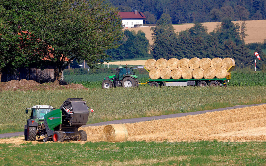 Pagos directos de la PAC: los agricultores y ganaderos profesionales percibieron unos ingresos muy por debajo al resto actividades económicas